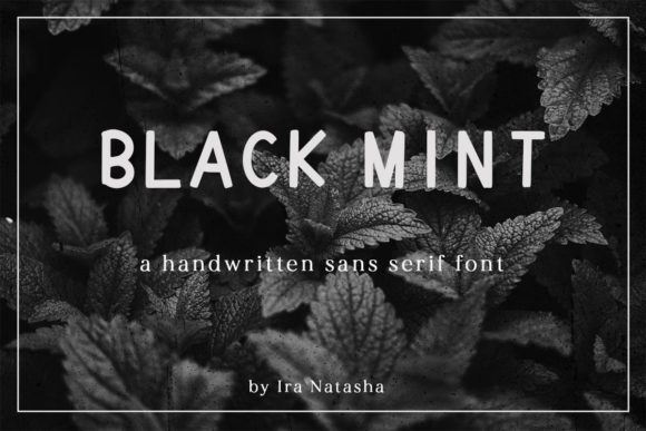 Black Mint: A Clean Sans Serif Typeface for Modern Brands
