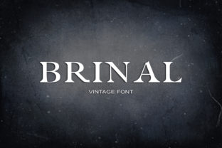Brinal Font: A Playful Serif for Makers