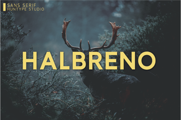 Halbreno: A Bold Sans Serif Typeface for Editorial Clarity