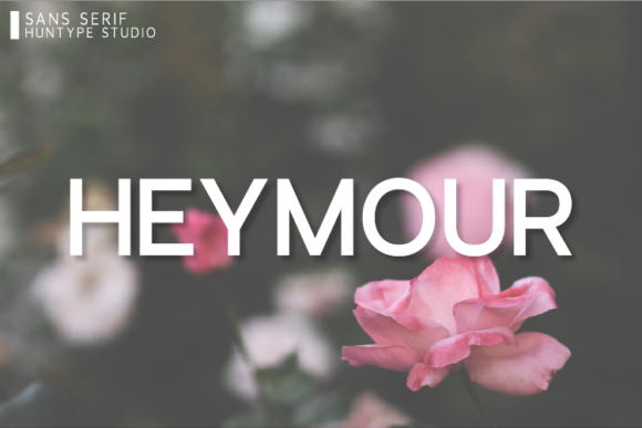 Heymour: A Minimal Sans Serif Font for Modern Branding