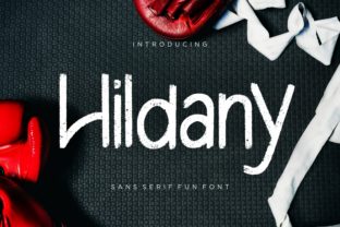 Hildany: A Designer’s Honest Review for Real Projects