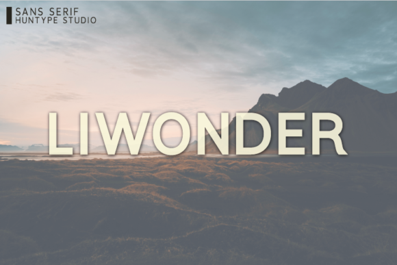 Liwonder: A Bold Sans Serif Font for Editorial Design