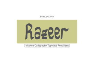 Razeer Typeface: A Playful Sans Serif for Editorial Design