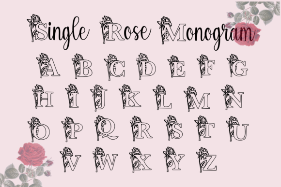 Single Rose Monogram: A Floral Font for Branding