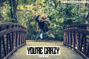 You’re Crazy: A Relaxed Sans Serif Font for Editorial Design